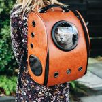 dropshipping pet supplies in the uk
