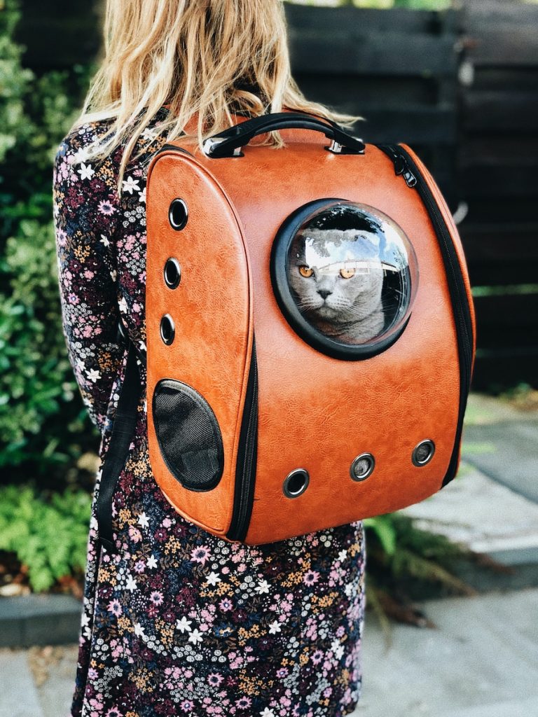 dropshipping pet supplies in the uk